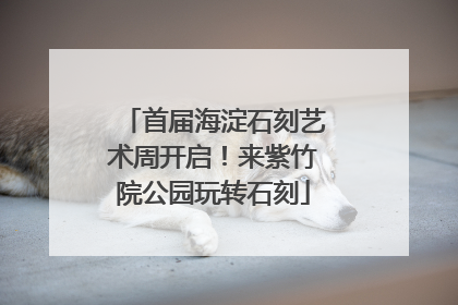 首届海淀石刻艺术周开启！来紫竹院公园玩转石刻